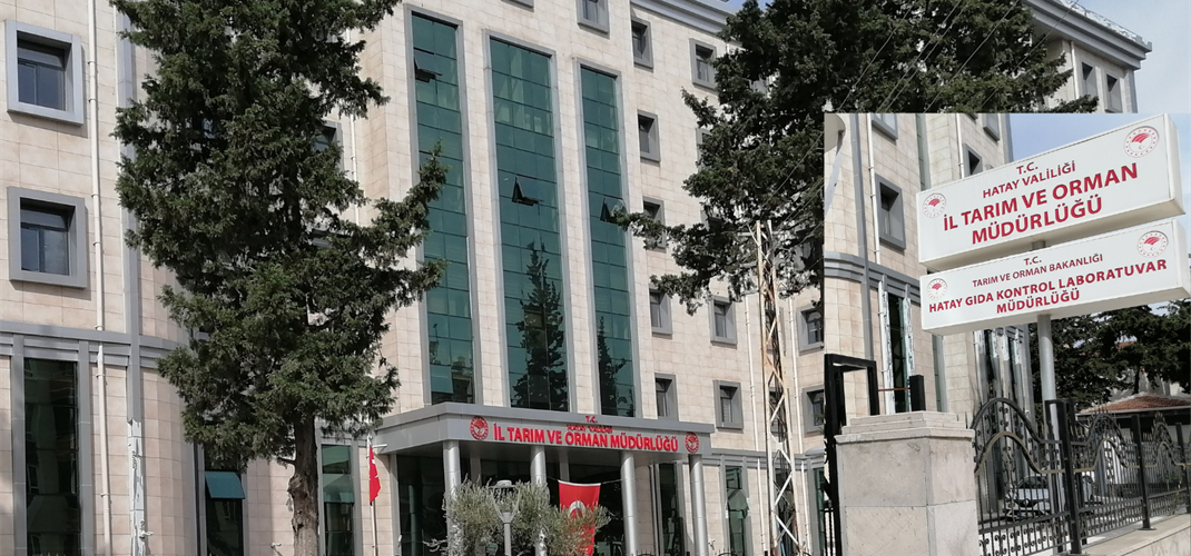 Hizmet Binası İnşaatı